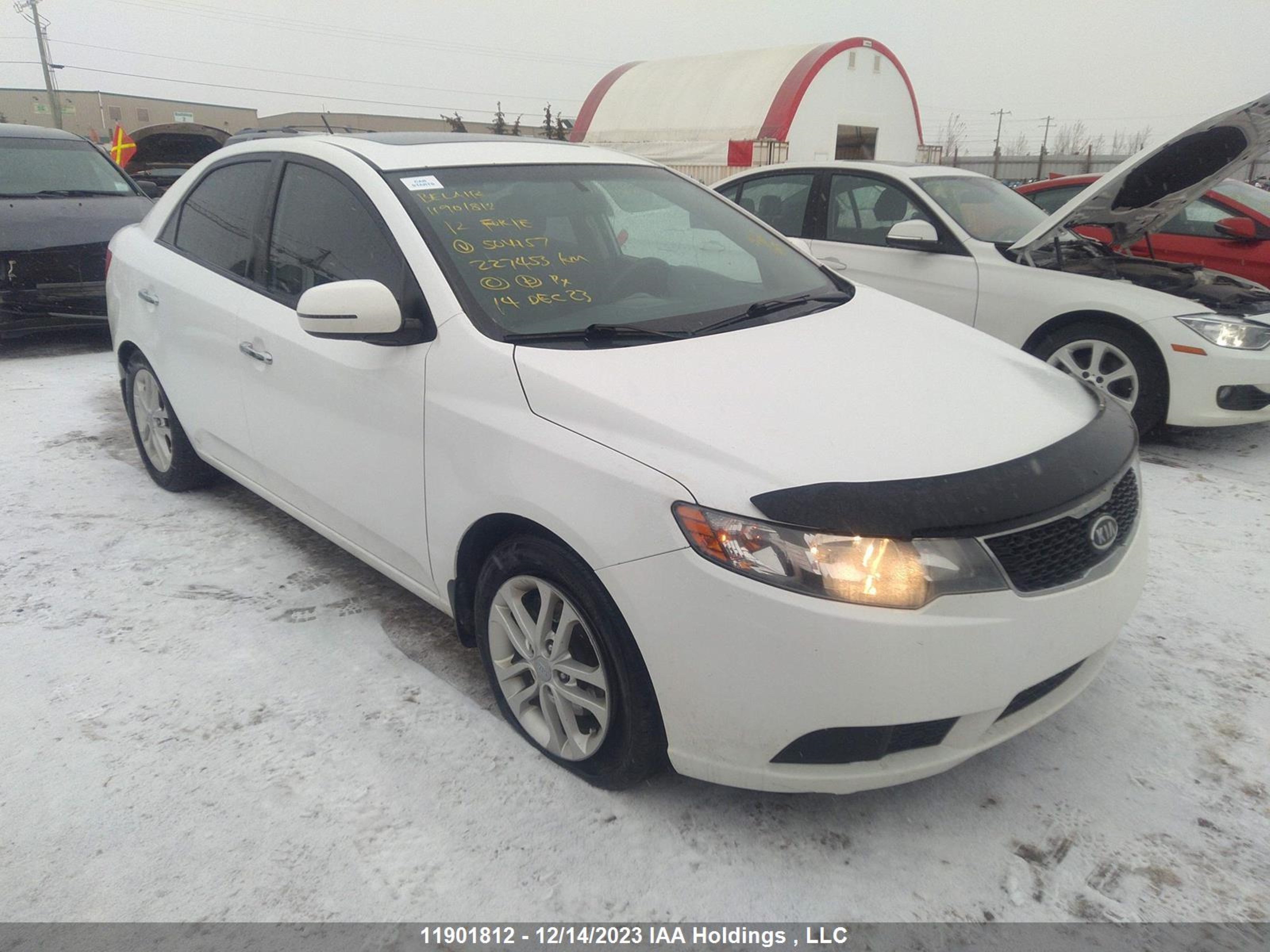 KIA FORTE 2012 knafu4a26c5504157