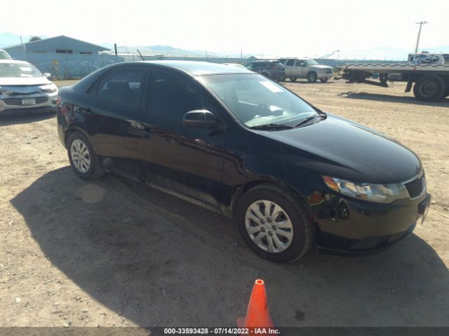 KIA FORTE 2012 knafu4a26c5514509