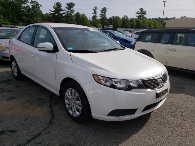 KIA FORTE EX 2012 knafu4a26c5545243