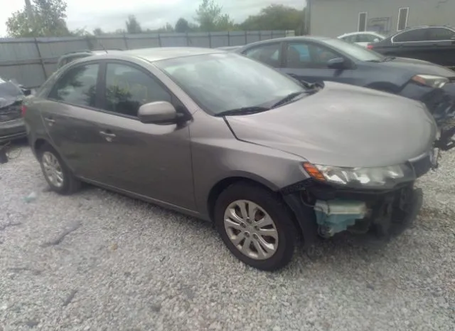 KIA FORTE 2012 knafu4a26c5546800