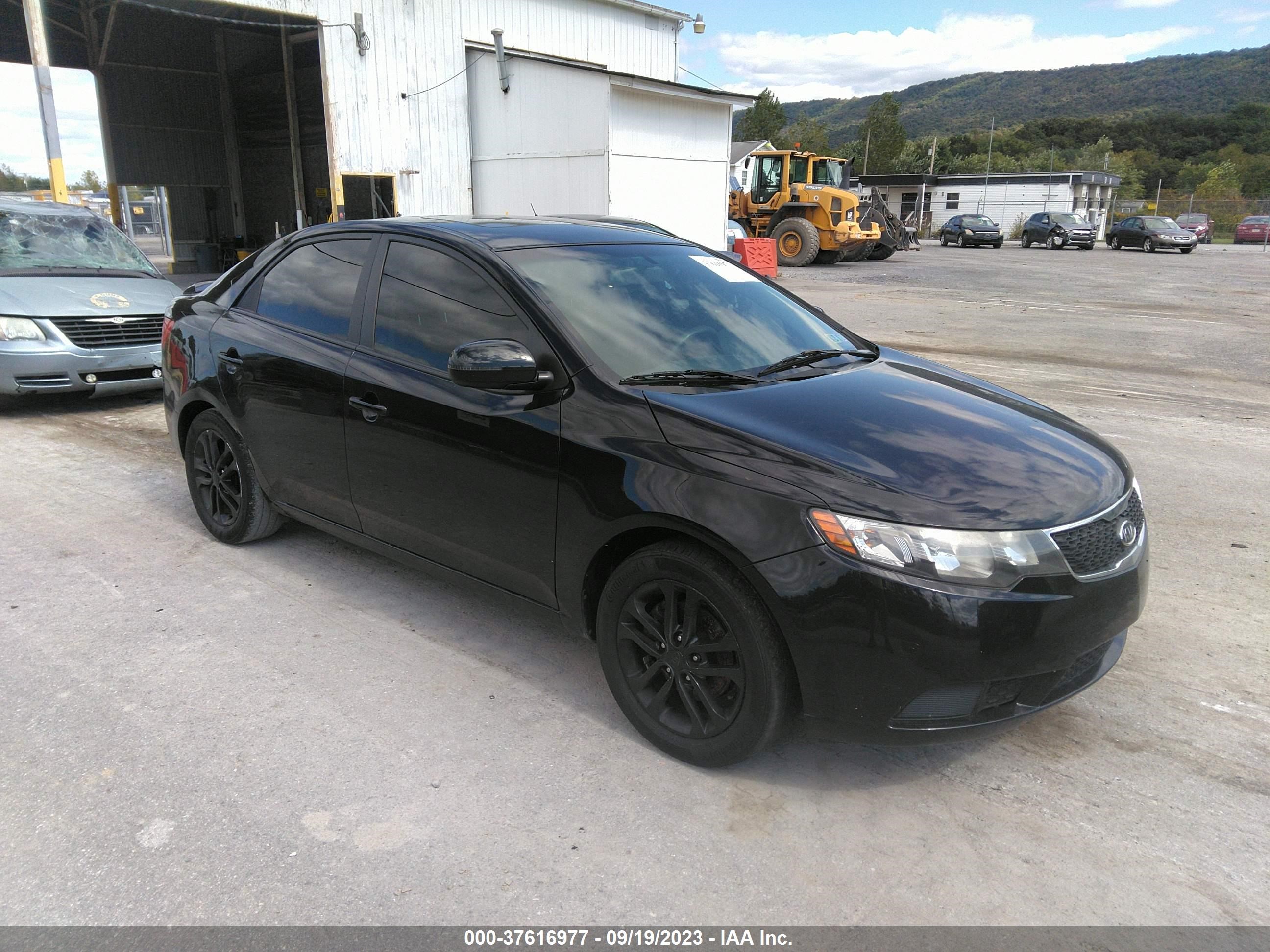 KIA FORTE 2012 knafu4a26c5553813