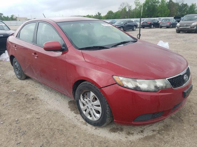 KIA FORTE 2012 knafu4a26c5562544