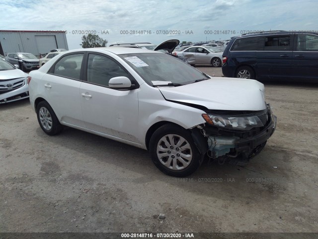 KIA FORTE 2012 knafu4a26c5563449