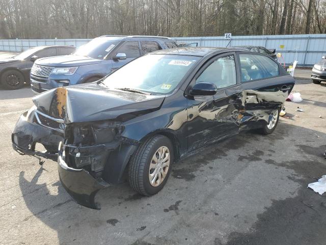 KIA FORTE 2012 knafu4a26c5586231