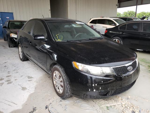 KIA FORTE EX 2012 knafu4a26c5586259