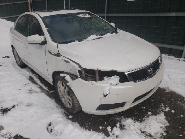 KIA FORTE EX 2012 knafu4a26c5606543