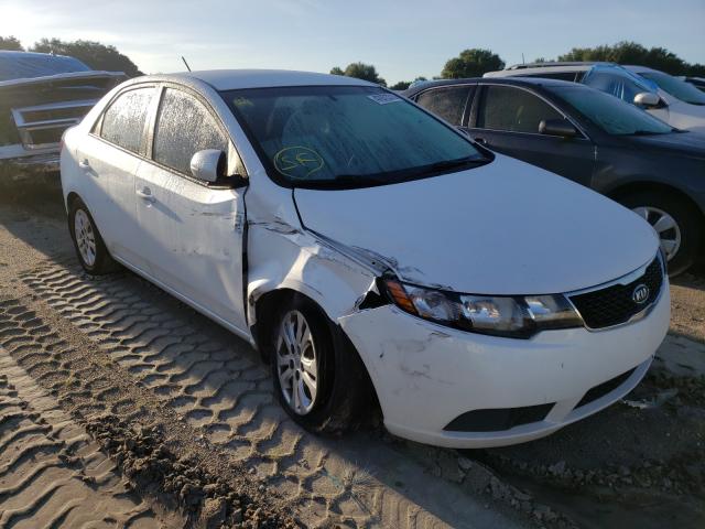 KIA FORTE EX 2012 knafu4a26c5638604