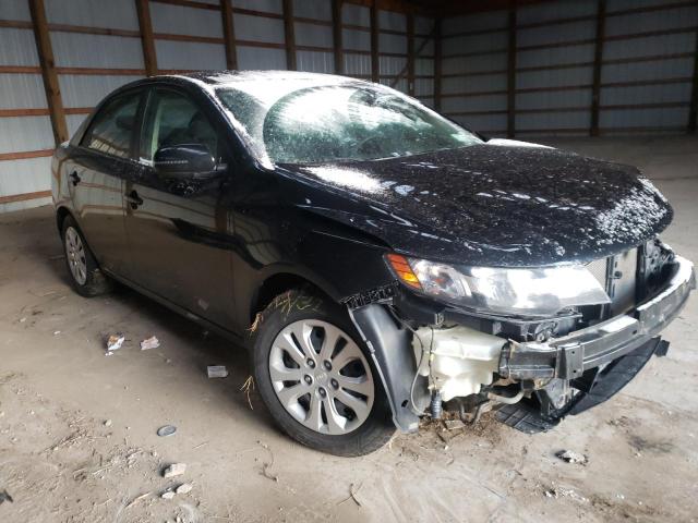 KIA FORTE EX 2012 knafu4a26c5639543