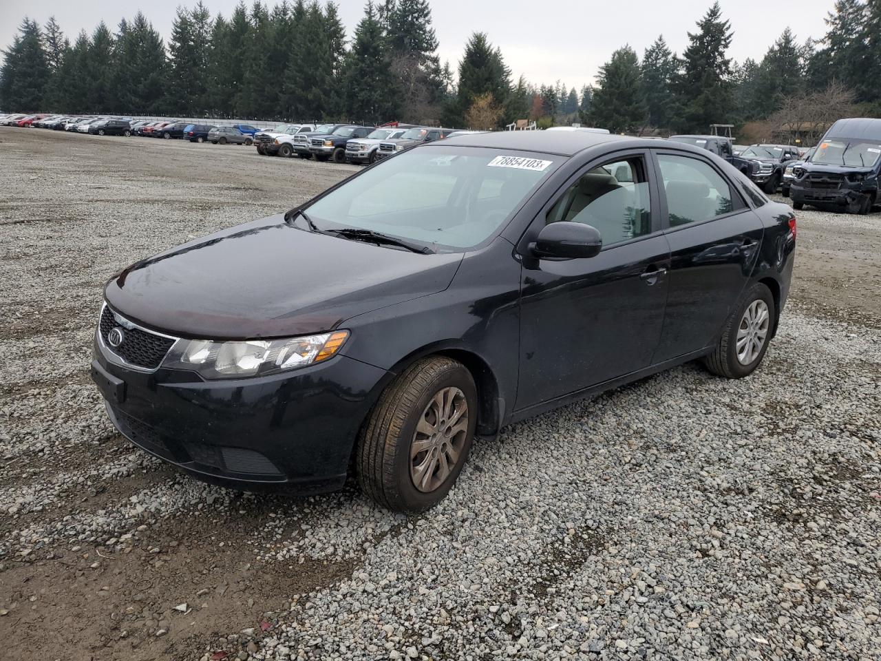 KIA FORTE 2012 knafu4a26c5642782