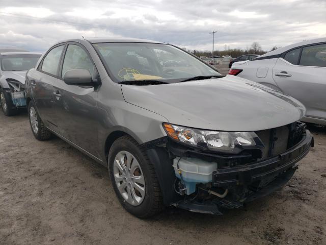 KIA FORTE EX 2013 knafu4a26d5646512