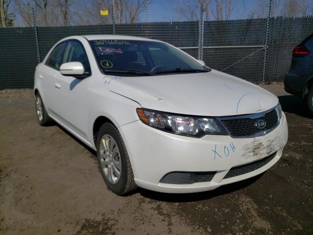 KIA FORTE EX 2013 knafu4a26d5662662