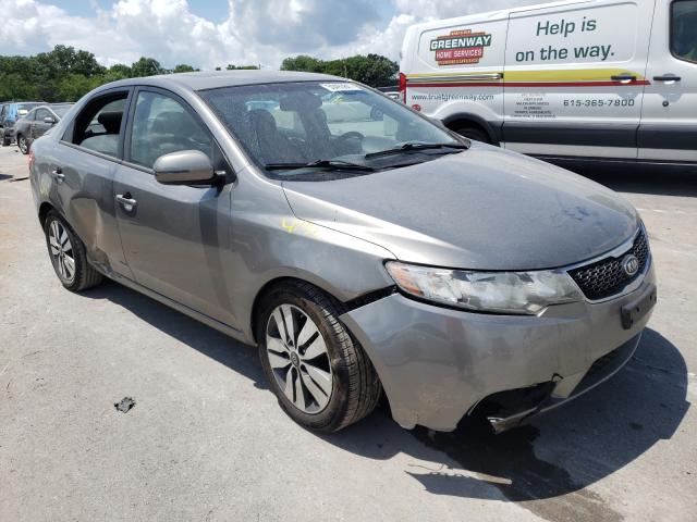 KIA FORTE EX 2013 knafu4a26d5667781