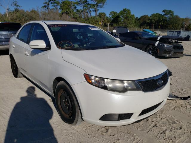 KIA FORTE EX 2013 knafu4a26d5667926