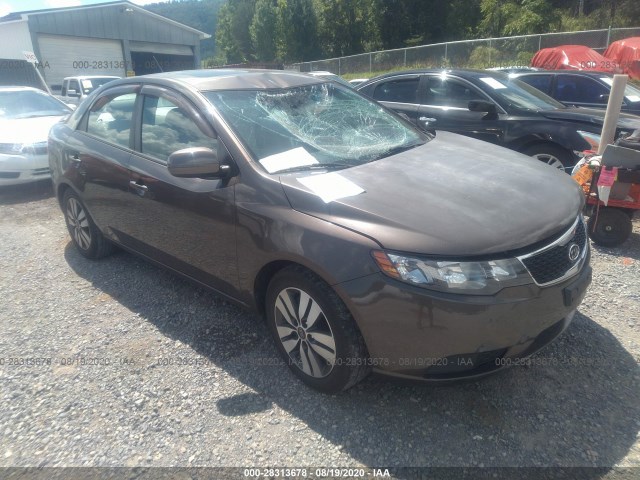 KIA FORTE 2013 knafu4a26d5674021