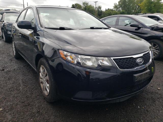 KIA FORTE EX 2013 knafu4a26d5675833