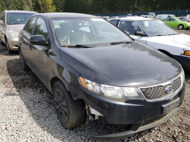 KIA FORTE EX 2013 knafu4a26d5684967