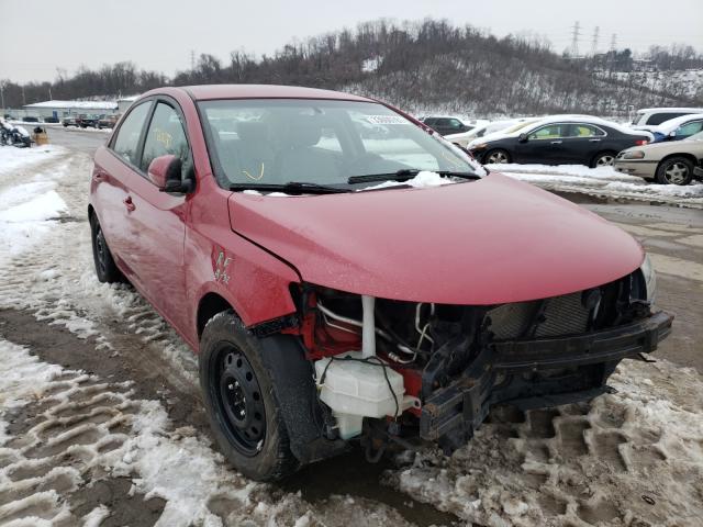 KIA FORTE EX 2013 knafu4a26d5688548