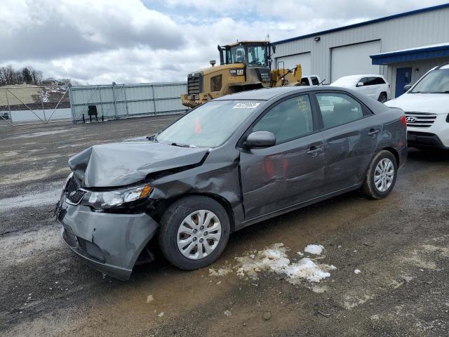 KIA FORTE EX 2013 knafu4a26d5694026