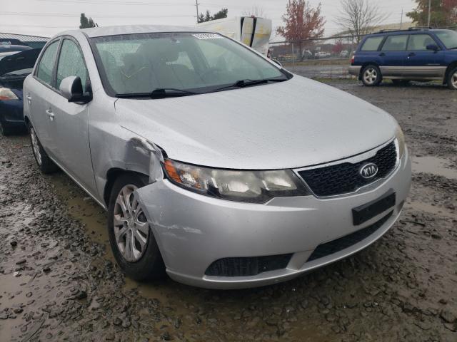 KIA FORTE EX 2013 knafu4a26d5694981