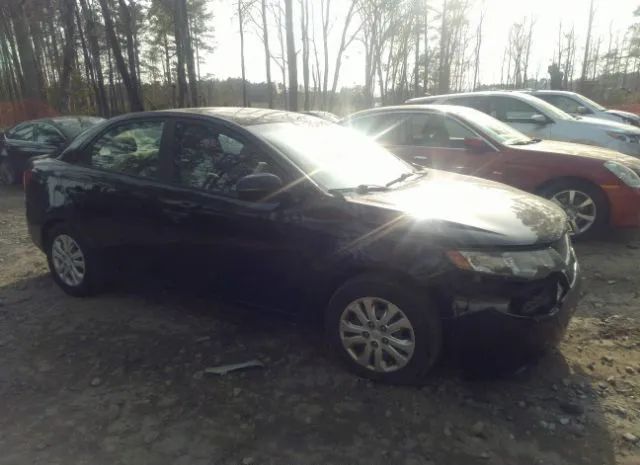 KIA FORTE 2013 knafu4a26d5709625