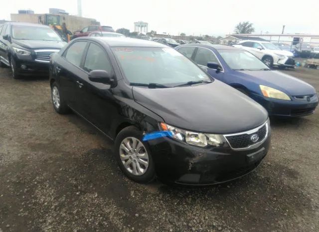 KIA FORTE 2013 knafu4a26d5714422