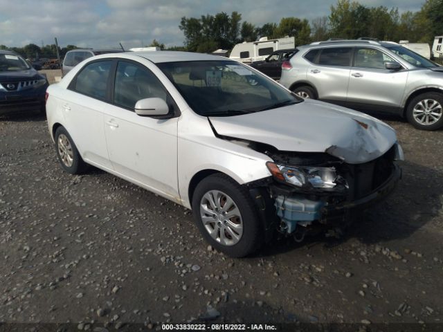 KIA FORTE 2013 knafu4a26d5719071