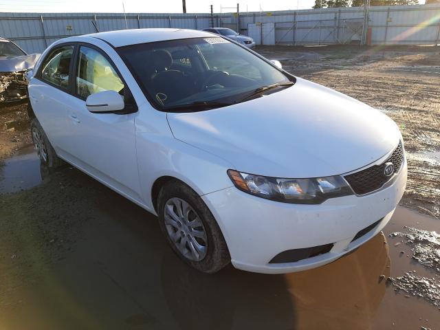 KIA FORTE EX 2013 knafu4a26d5719619