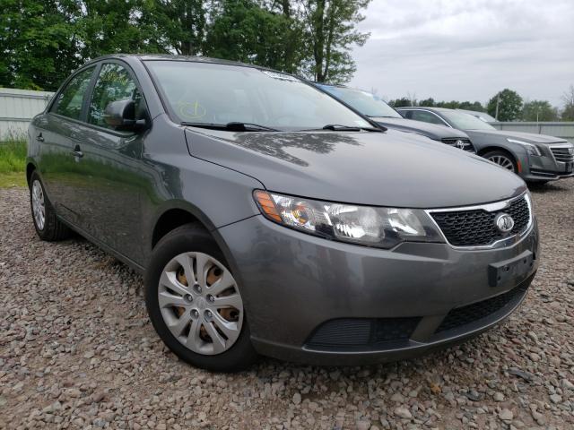 KIA FORTE EX 2013 knafu4a26d5722908