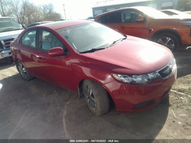 KIA FORTE 2013 knafu4a26d5726067