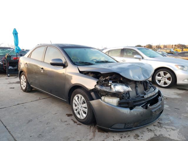 KIA FORTE EX 2013 knafu4a26d5732371