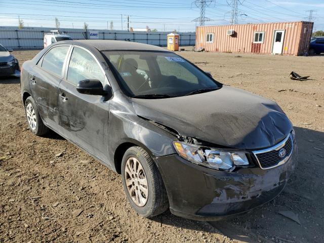 KIA FORTE EX 2013 knafu4a26d5738039