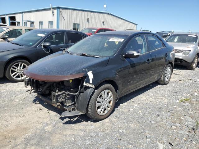 KIA FORTE 2010 knafu4a27a5048800