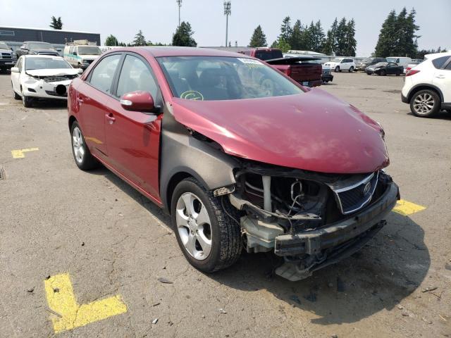 KIA FORTE EX 2010 knafu4a27a5054743