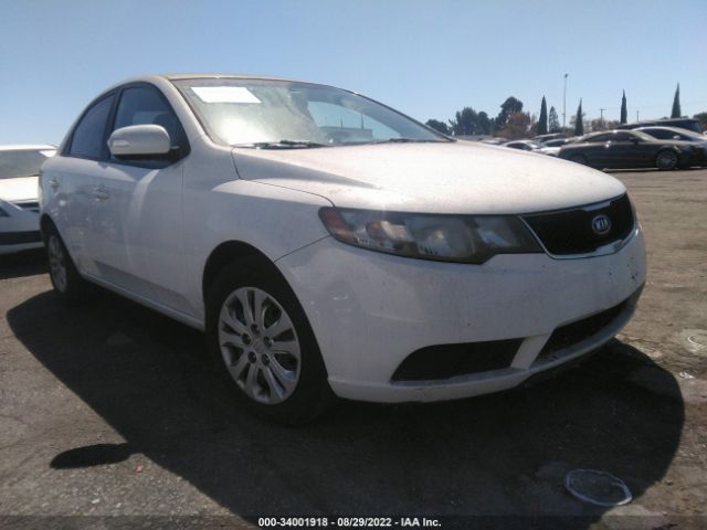 KIA FORTE 2010 knafu4a27a5055665