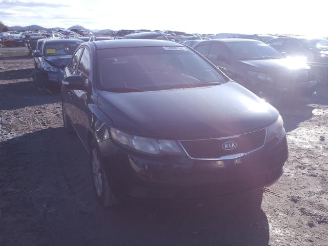 KIA FORTE EX 2010 knafu4a27a5059862