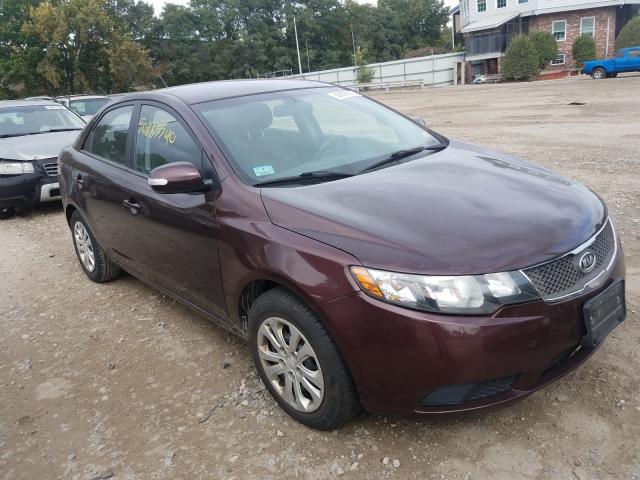 KIA FORTE EX 2010 knafu4a27a5061756