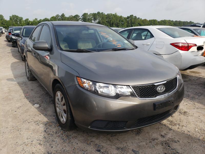 KIA FORTE EX 2010 knafu4a27a5062342