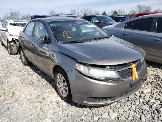 KIA FORTE EX 2010 knafu4a27a5062602