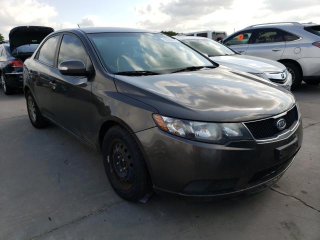 KIA FORTE EX 2010 knafu4a27a5063023