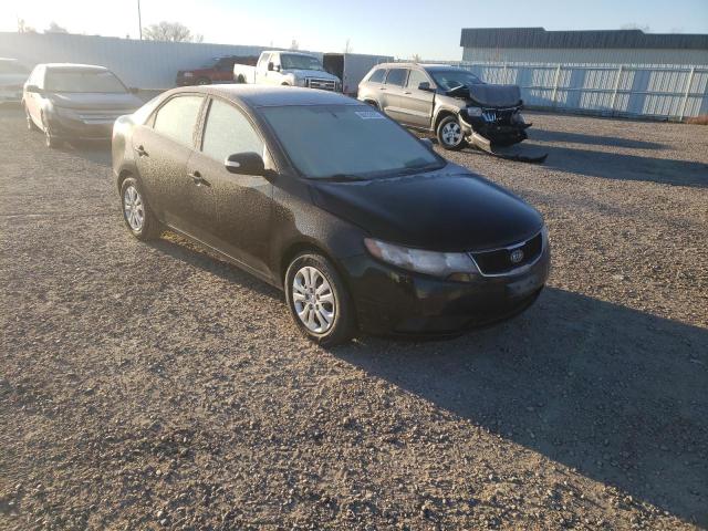 KIA FORTE EX 2010 knafu4a27a5063863