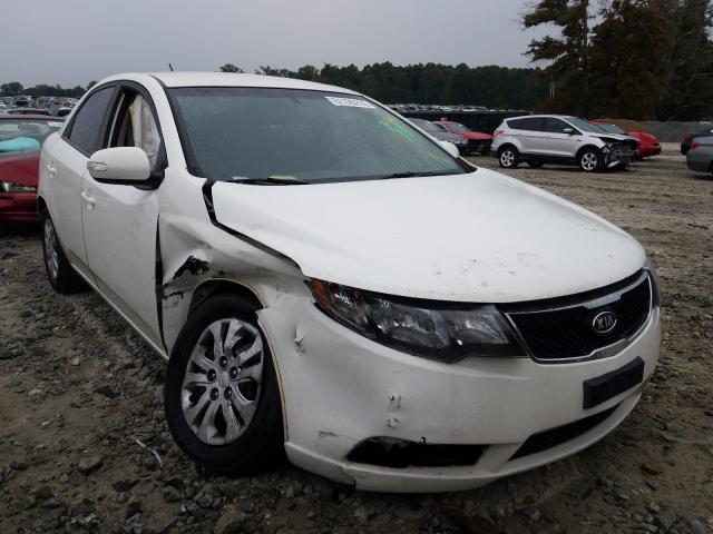 KIA FORTE EX 2010 knafu4a27a5069923