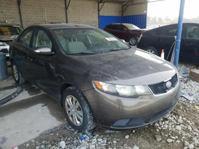 KIA FORTE EX 2010 knafu4a27a5071994