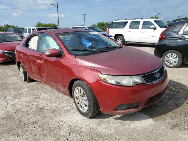 KIA FORTE EX 2010 knafu4a27a5104749