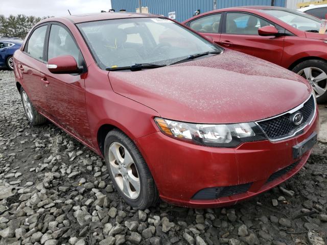 KIA FORTE EX 2010 knafu4a27a5109644