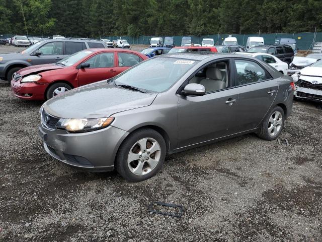 KIA FORTE EX 2010 knafu4a27a5117811