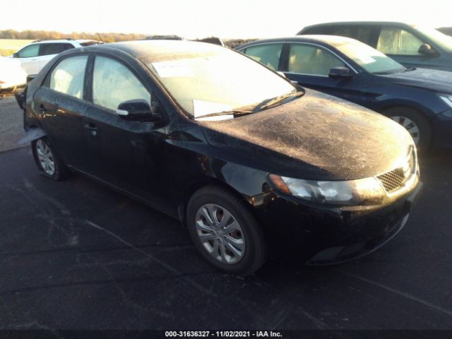 KIA FORTE 2010 knafu4a27a5127562