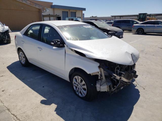 KIA FORTE EX 2010 knafu4a27a5157211