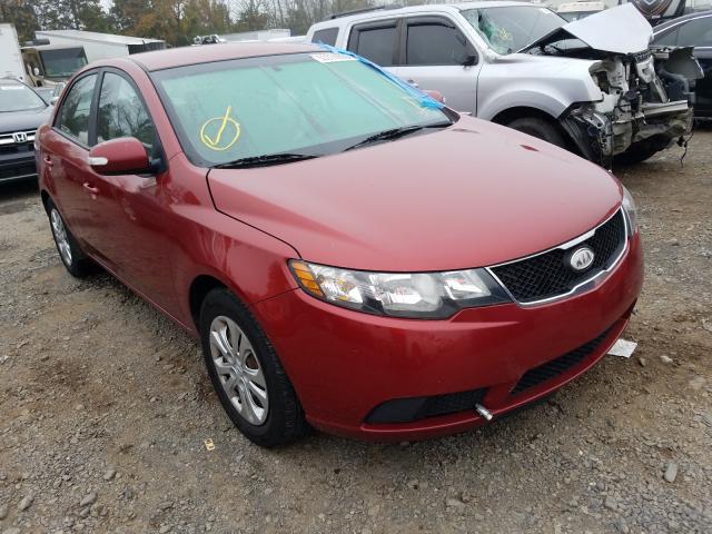 KIA FORTE EX 2010 knafu4a27a5163798