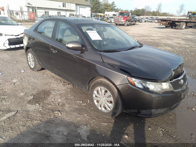 KIA FORTE 2010 knafu4a27a5173117