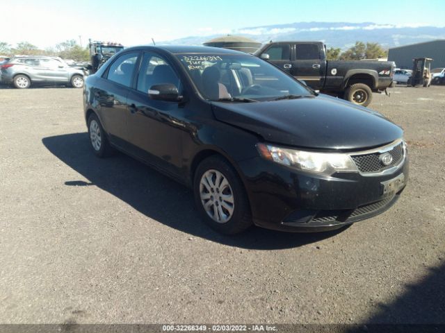 KIA FORTE 2010 knafu4a27a5176227